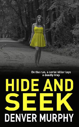 [The DCI Jeffrey Brandt Murders Trilogy 02] • Hide and Seek